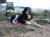 Filename=IMG-20160207-WA0012.jpg
Filesize=131KiB
Dimensions=1296x972
Date added=%846 %10, %2016 IMG-20160207-WA0012.jpg