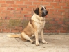 Filename=IMG-20160415-WA0003.jpg
Filesize=257KiB
Dimensions=1600x1200
Date added=%819 %19, %2016 IMG-20160415-WA0003.jpg