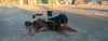 Filename=IMG-20180203-WA0001.jpg
Filesize=235KiB
Dimensions=1599x611
Date added=%830 %14, %2018 IMG-20180203-WA0001.jpg