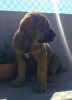 Filename=IMG-20180416-WA0012.jpg
Filesize=132KiB
Dimensions=1030x1413
Date added=%762 %17, %2018 IMG-20180416-WA0012.jpg