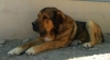 Filename=IMG-20180416-WA0014.jpg
Filesize=145KiB
Dimensions=1568x864
Date added=%761 %17, %2018 IMG-20180416-WA0014.jpg