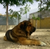 Filename=IMG-20180423-WA0002.jpg
Filesize=499KiB
Dimensions=1600x1564
Date added=%423 %26, %2018 IMG-20180423-WA0002.jpg