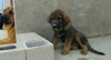 Filename=IMG-20180423-WA0004.jpg
Filesize=234KiB
Dimensions=1600x874
Date added=%423 %26, %2018 IMG-20180423-WA0004.jpg
