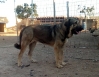 Filename=apolak.jpg
Filesize=64KiB
Dimensions=863x666
Date added=%542 %14, %2018 apolak.jpg