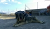 Filename=kira6.jpg
Filesize=69KiB
Dimensions=960x562
Date added=%607 %02, %2018 kira6.jpg