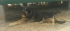 Filename=morax.jpg
Filesize=126KiB
Dimensions=1600x731
Date added=%769 %30, %2018 morax.jpg