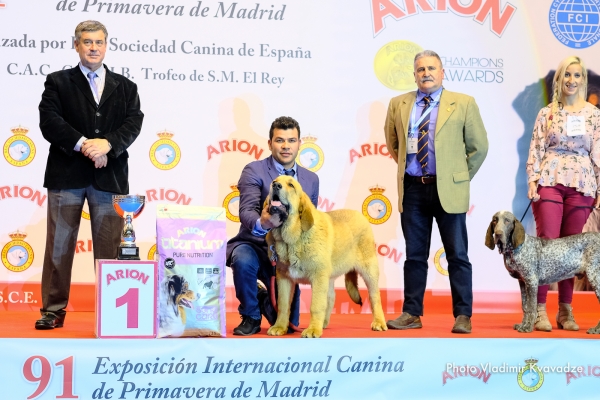 BARRANCO DE MONTES DEL PARDO
BARRANCO DE MONTES DEL PARDO – NAC. 20/09/2018 – TALIMSAN DE MONTES DEL PARDO Y TRABUCA DE CURUENO PORMA
Keywords: 91 Exposición Internacional Canina de Primavera de Madrid - 28 abril 2019