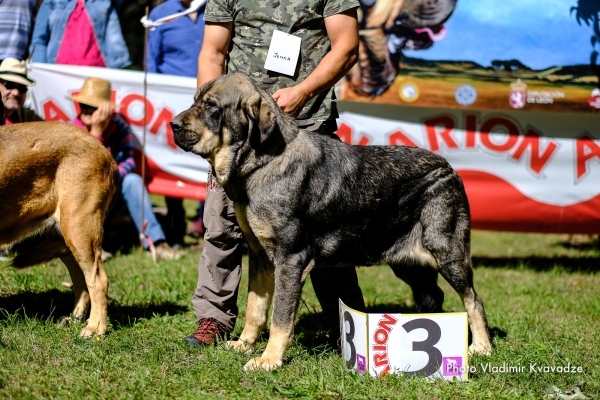 Barrios de Luna, León 2019
Keywords: vladimir 2019