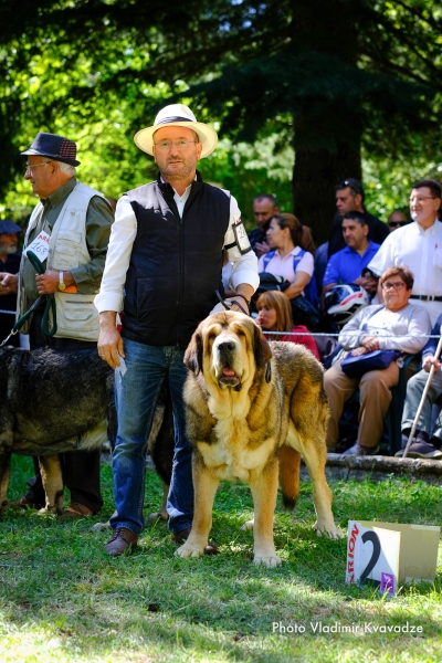 Barrios de Luna, León 2019
Keywords: vladimir 2019