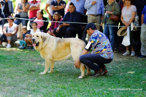 Barrios de Luna, León 2019
Keywords: vladimir 2019