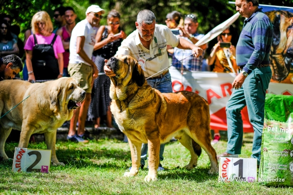 Barrios de Luna, León 2019
Klíčová slova: vladimir 2019