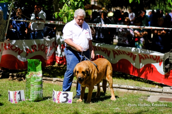 Barrios de Luna, León 2019
Keywords: vladimir 2019