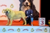 Filename=DSCF1496.jpg
Filesize=1237KiB
Dimensions=1600x1067
Date added=%474 %30, %2019 DSCF1496.jpg