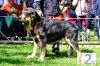 Filename=DSCF2222.jpg
Filesize=2052KiB
Dimensions=1600x1067
Date added=%385 %13, %2019 DSCF2222.jpg