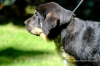 Filename=DSCF2325.jpg
Filesize=1262KiB
Dimensions=1600x1067
Date added=%388 %13, %2019 DSCF2325.jpg