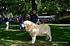 DSCF4657.jpg