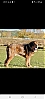 Screenshot_20211031-220109_Facebook.jpg