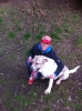 Filename=barney3.JPG
Filesize=134KiB
Dimensions=478x640
Date added=%911 %24, %2012 barney3.JPG