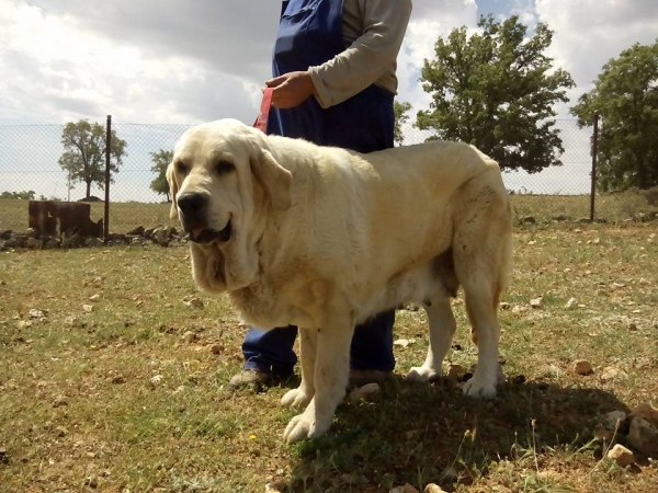 Elegida de Puerto Canencia
