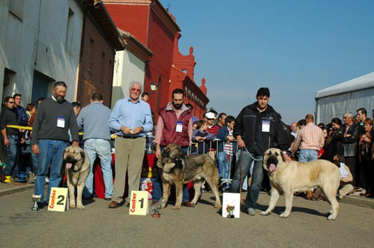 Cooper 3º en Mansilla de las Mulas 12-11-2006
Keywords: 2006