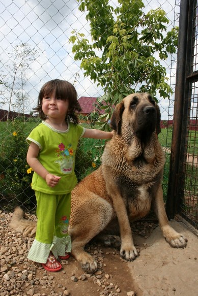 Happy together - Zhuzha  Sinko Zemplina with the child
Keywords: cortedemadrid