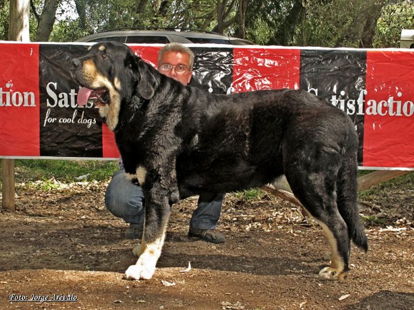 TIMON EN LA MONOGRAFICA DE VELEZ DE BENAUDALLA 2012
Keywords: 2012 abucacito