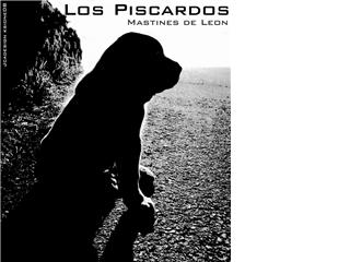 Los Piscardos
Keywords: piscardos