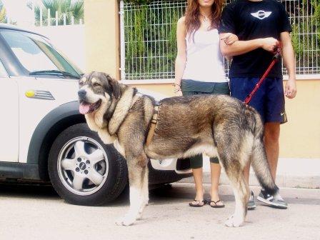 fosco 21 meses de paseo con Claudia y Carles
Keywords: fosco