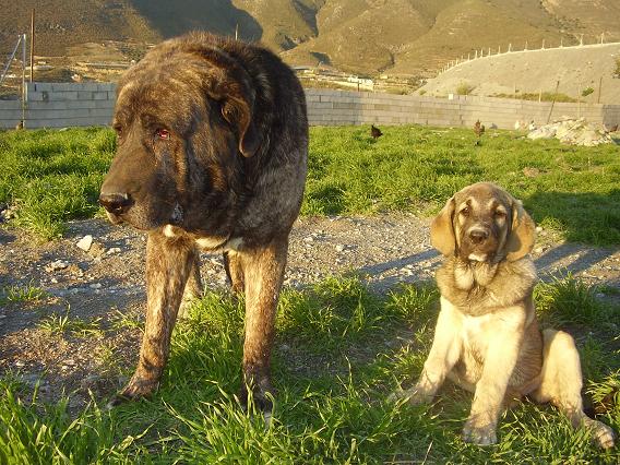 VENUS CON TURCO EN LA GORGORACHA
Keywords: gorgoracha