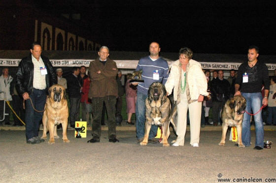 Ringo de Reciecho - Concurso de Mansilla de Las Mulas 3º Clase Abierta.
Keywords: 2008 ? piscardos