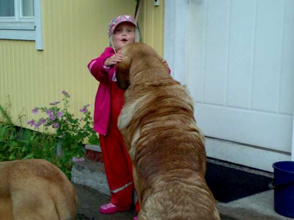 Miisa gets love - Dozy Dragon Herbu Wielka Lapa & Miisa
- 
Keywords: satu Dozy, Finland