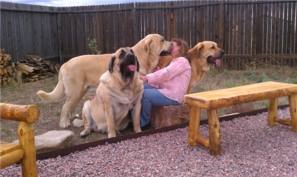 La familia en la finca
Edna getting a kiss from Leon in our sitting area out back a few weeks before Gitana delivered her first litter

Leon dando un besito a Edna en nuestro lugar de sentar en la fince unas semanas antes que Gitana tuvo su primera camada
Keywords: moreno