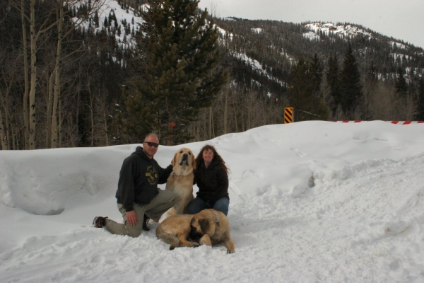 Independence Pass Snowed over - Moreno family
Romulo de Campollano (Leon) and Bandera de Campollano (Gitana)

Keywords: moreno