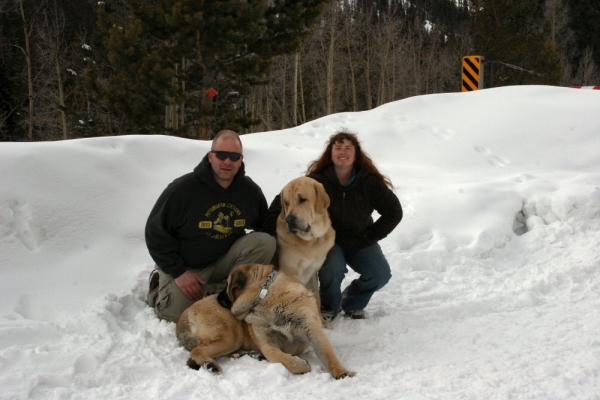 Independence Pass Snowed over - Moreno family
Romulo de Campollano (Leon) and Bandera de Campollano (Gitana)

Keywords: moreno