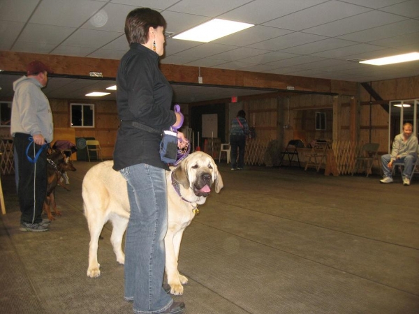 Tatyana looking at Roberto during  Beginner Intermediate-CGC class # 5             3-26-2012
Keywords: norma pacino tatyana deniro brando