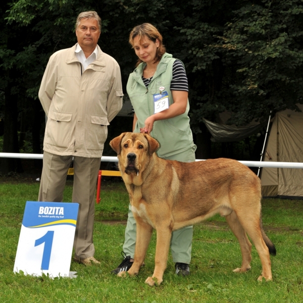 Barbaro de Buxionte 9 months 
(Surco de Fuentemimbre x Negrita de Buxionte)
