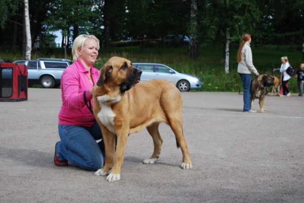 Becky z netluckych Pastvin - in Special show 2009
Conchitta Tornado Erben x Ramonet 
Keywords: 2009 satu Finland, Becky