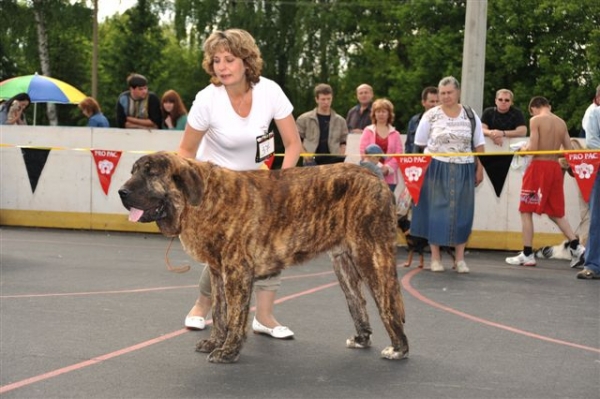 Bekas s Madridskogo Dvora - Junior class males, The Cup of Pro Pac 2009, Noginsk, 07.06.09 
Keywords: 2009