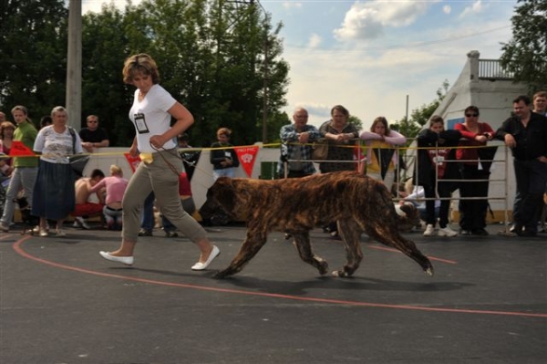 Bekas s Madridskogo Dvora - Junior class males, The Cup of Pro Pac 2009, Noginsk, 07.06.09 
Keywords: 2009