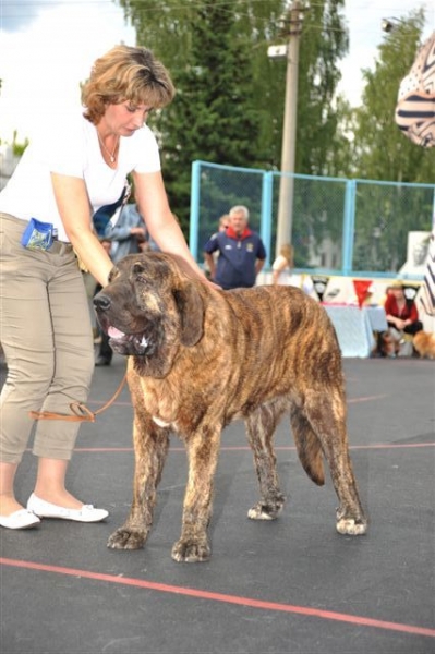 Bekas s Madridskogo Dvora - Junior class males, The Cup of Pro Pac 2009, Noginsk, 07.06.09 
Keywords: 2009