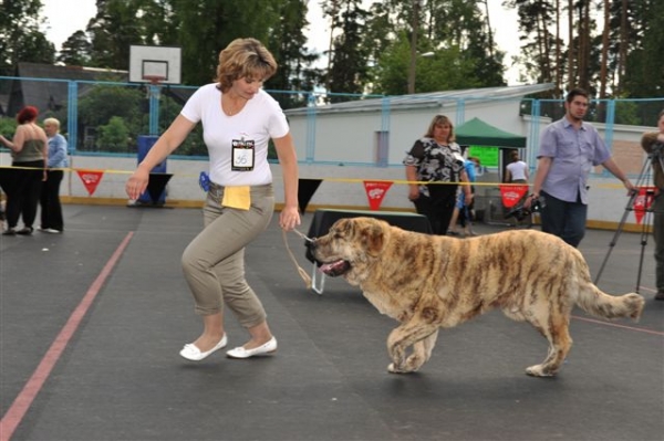 Bono s Madridskogo Dvora - Junior class males, The Cup of Pro Pac 2009, Noginsk, 07.06.09 
Keywords: 2009