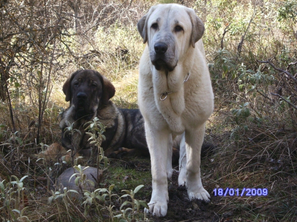 LUNA Y CARRAS
