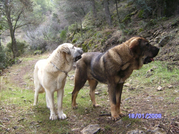 LUNA Y CARRAS
