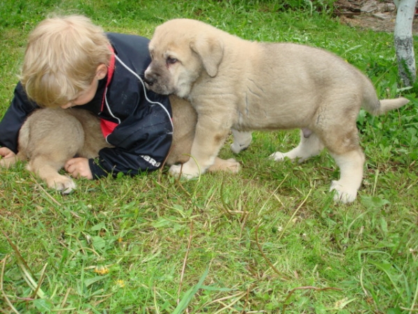 Puppy photo Moscou Russia
Keywords: kids nuevolavida puppyrussia