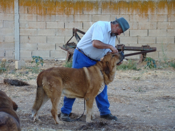 LA VICHERIZA
Keywords: vicheriza