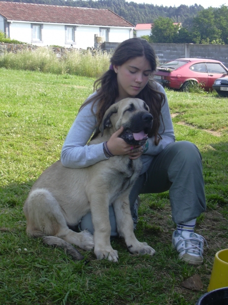 cachorro de basillon
Keywords: kids, basillon puppyspain puppy cachorro