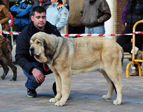 ADA DEL HONTANAR  (FUENTE MIMBRE X ZUMBOS) 9 MESES
Keywords: hontanar