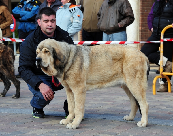 ADA DEL HONTANAR  (FUENTE MIMBRE X ZUMBOS) 9 MESES
Keywords: hontanar