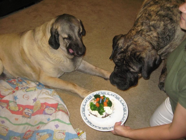 Mom that cake looks GOOD, Yummy  !!!
Keywords: norma pacino tatyana deniro brando