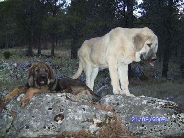 LUNA Y CARRAS
